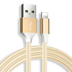 Chargeur Cable Data Synchro Cable D04 pour Apple iPad Air 10.9 (2020) Or