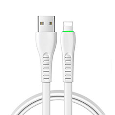 Chargeur Cable Data Synchro Cable D20 pour Apple iPhone 12 Pro Max Blanc