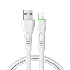Chargeur Cable Data Synchro Cable D20 pour Apple iPhone 14 Plus Blanc