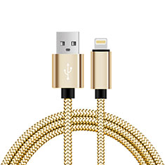Chargeur Cable Data Synchro Cable L07 pour Apple iPad Air Or