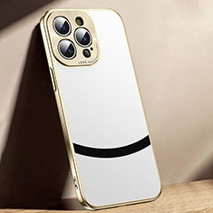 Coque Luxe Cuir Housse Etui PD1 pour Apple iPhone 15 Pro Blanc