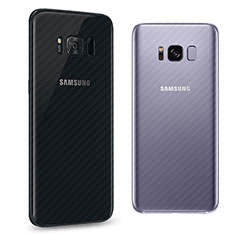 Film Protecteur Arriere B03 pour Samsung Galaxy S8 Clair