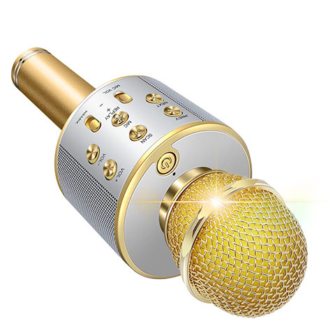 3.5mm Mini Microphone de Poche Elegant Karaoke Haut-Parleur M06 Or