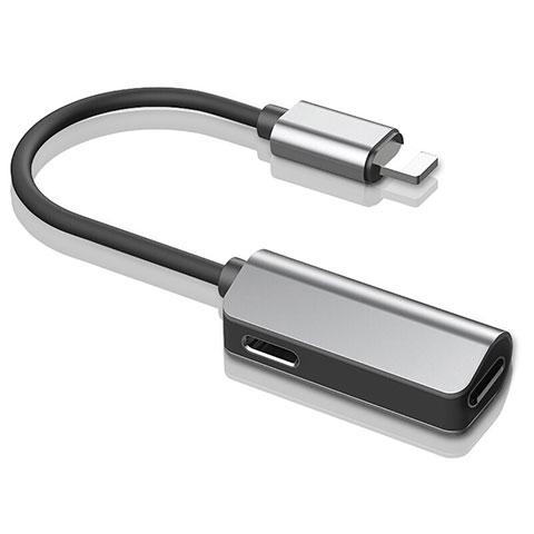 Cable Lightning USB H01 pour Apple iPhone 6 Plus Argent