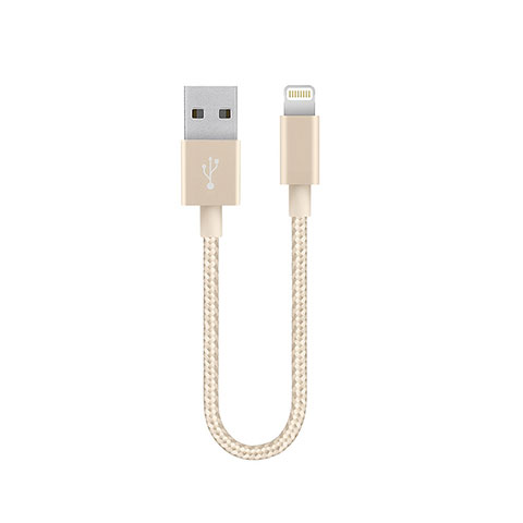 Chargeur Cable Data Synchro Cable 15cm S01 pour Apple iPad 10.2 (2020) Or