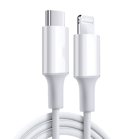 Chargeur Cable Data Synchro Cable C02 pour Apple iPhone 14 Blanc