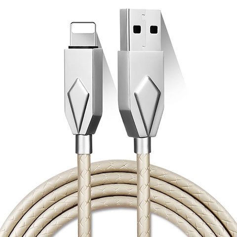 Chargeur Cable Data Synchro Cable D13 pour Apple iPhone 14 Pro Argent