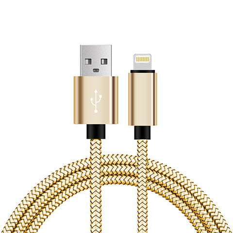 Chargeur Cable Data Synchro Cable L07 pour Apple iPhone Xs Max Or