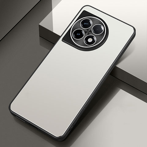 Coque Luxe Aluminum Metal Housse et Bumper Silicone Etui pour OnePlus 11 5G Argent