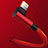 Chargeur Cable Data Synchro Cable C10 pour Apple iPhone 11 Petit