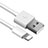 Chargeur Cable Data Synchro Cable D12 pour Apple iPad Mini 4 Blanc Petit