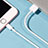 Chargeur Cable Data Synchro Cable L09 pour Apple iPhone 5C Blanc Petit