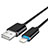 Chargeur Cable Data Synchro Cable L13 pour Apple iPhone 11 Noir Petit