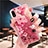 Coque Ultra Fine TPU Souple Housse Etui Transparente Fleurs T01 pour Apple iPhone XR Rose