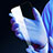 Film Protection Protecteur d'Ecran Verre Trempe Privacy M08 pour Apple iPhone 15 Plus Clair Petit