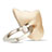 Support Bague Anneau Support Telephone Universel R09 Or