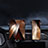 Support Telephone Voiture Support Clip Tableau de Bord Universel BS2 Noir Petit