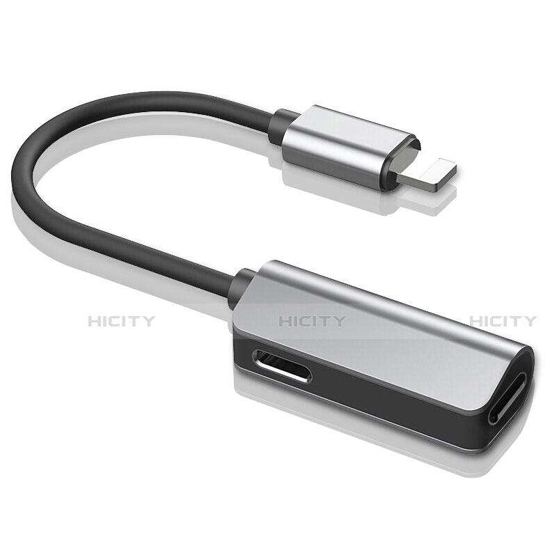 Cable Lightning USB H01 pour Apple iPad Pro 12.9 (2018) Argent Plus