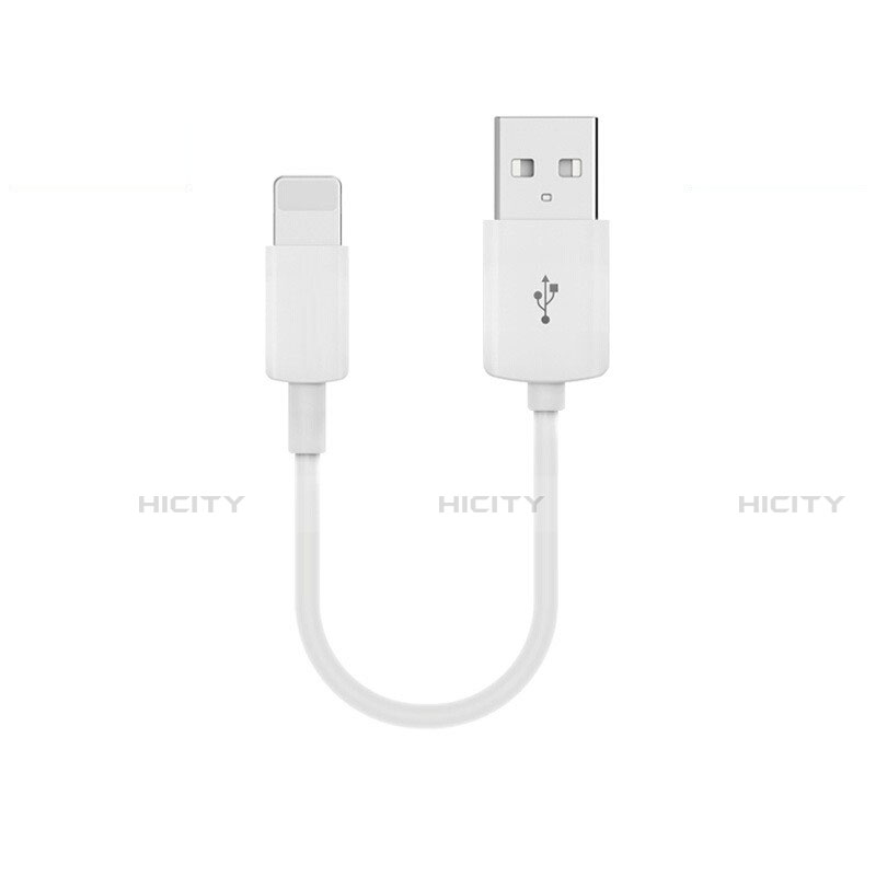 Chargeur Cable Data Synchro Cable 20cm S02 pour Apple iPad Mini 3 Blanc Plus