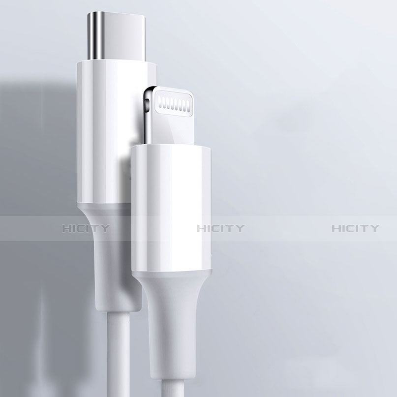 Chargeur Cable Data Synchro Cable C02 pour Apple iPhone 11 Pro Blanc Plus