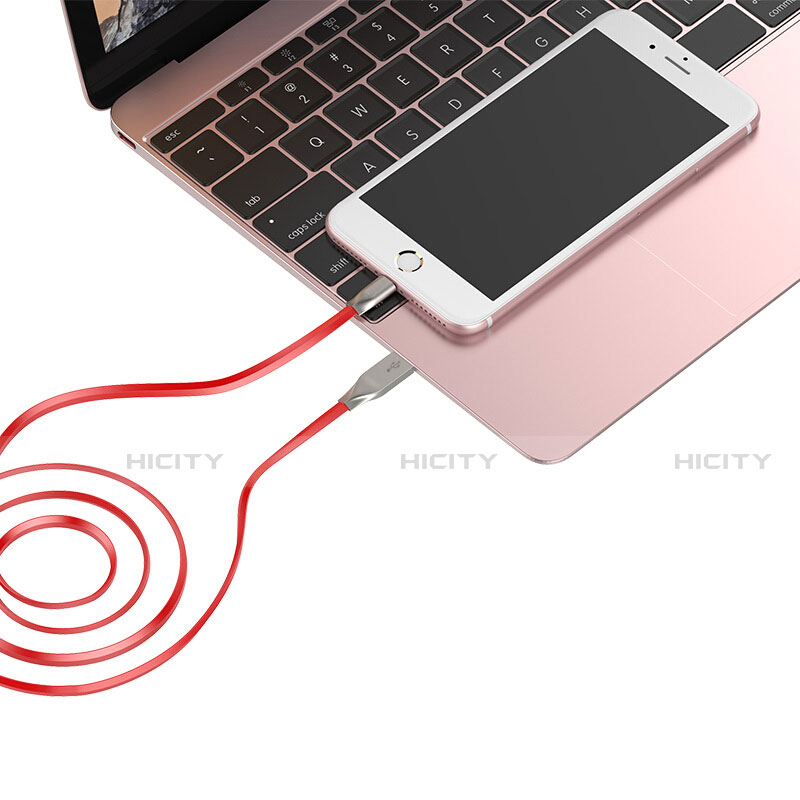 Chargeur Cable Data Synchro Cable C05 pour Apple iPad 10.2 (2020) Plus