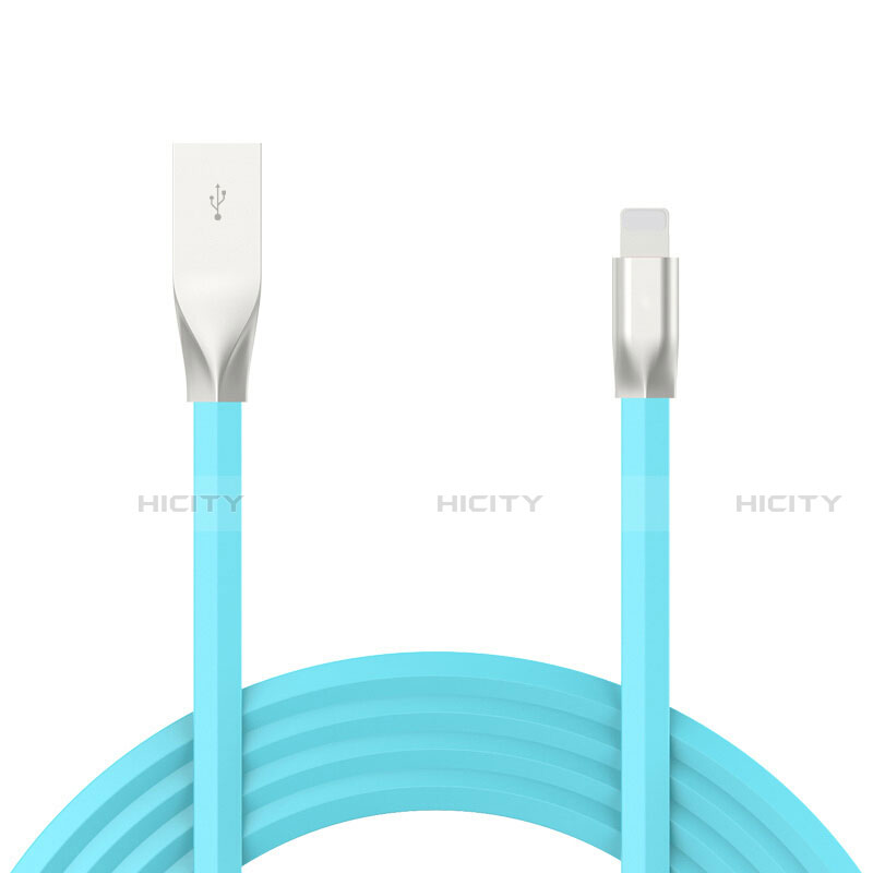 Chargeur Cable Data Synchro Cable C05 pour Apple iPad Pro 11 (2020) Plus