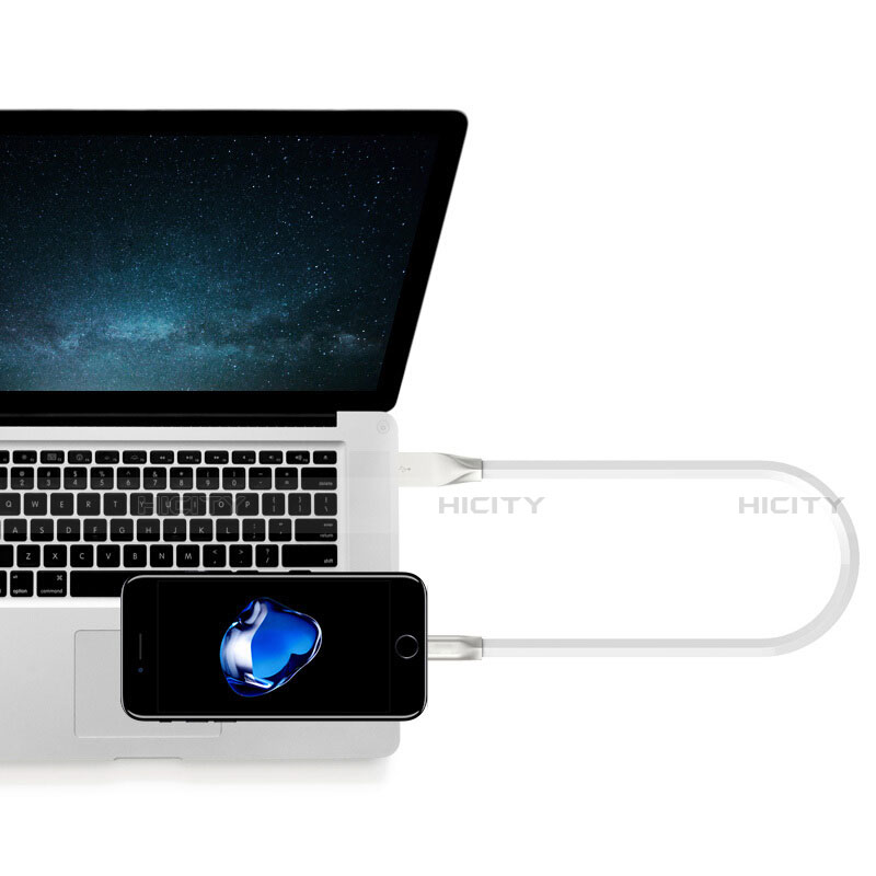 Chargeur Cable Data Synchro Cable C06 pour Apple iPad Pro 12.9 (2018) Plus