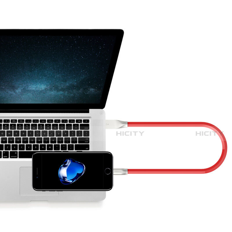 Chargeur Cable Data Synchro Cable C06 pour Apple iPhone 14 Pro Plus