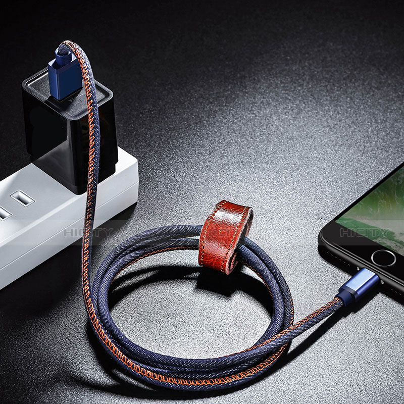 Chargeur Cable Data Synchro Cable D01 pour Apple iPhone Xs Bleu Plus
