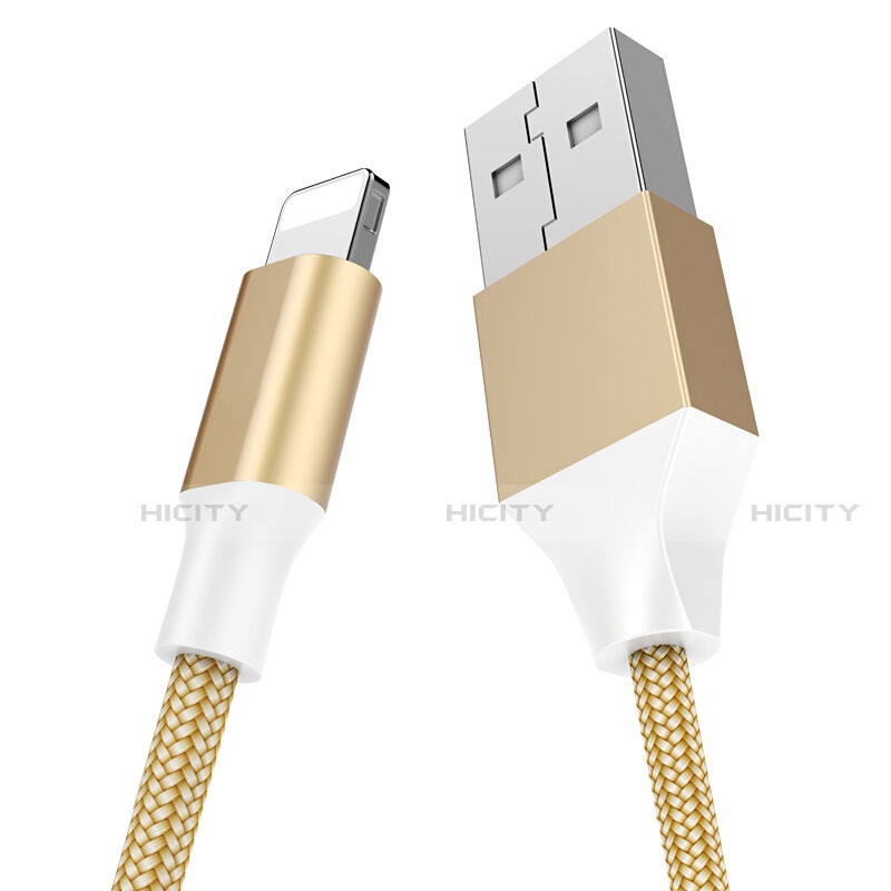 Chargeur Cable Data Synchro Cable D04 pour Apple iPad New Air (2019) 10.5 Or Plus