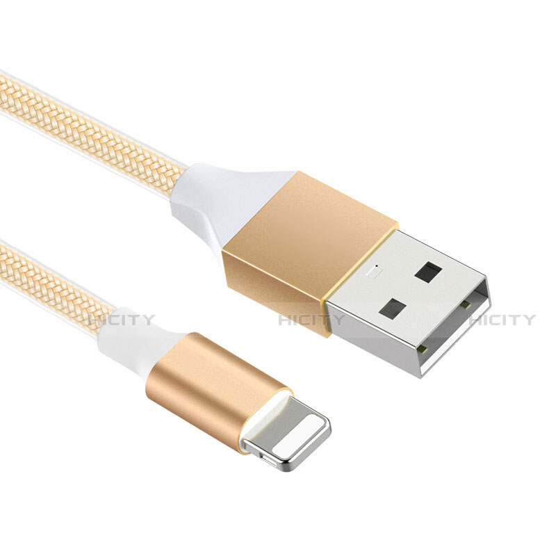 Chargeur Cable Data Synchro Cable D04 pour Apple iPad Pro 12.9 (2017) Or Plus