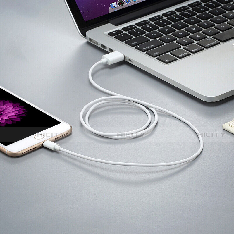Chargeur Cable Data Synchro Cable D12 pour Apple iPhone 11 Pro Blanc Plus
