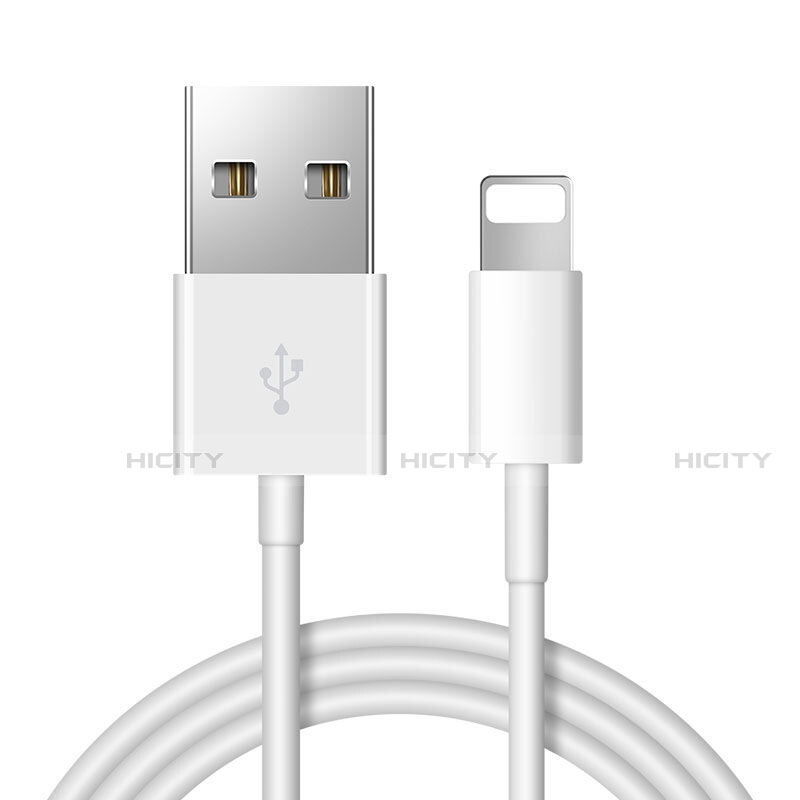 Chargeur Cable Data Synchro Cable D12 pour Apple iPhone Xs Blanc Plus