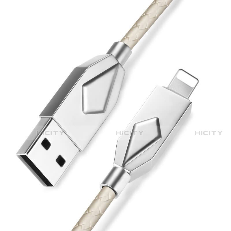 Chargeur Cable Data Synchro Cable D13 pour Apple iPad Air 10.9 (2020) Argent Plus