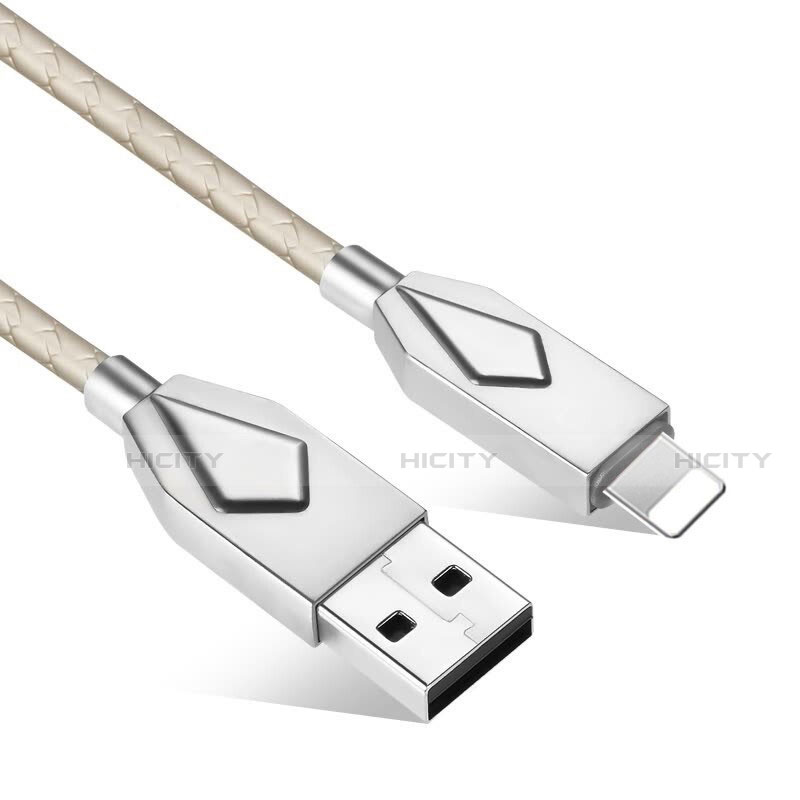 Chargeur Cable Data Synchro Cable D13 pour Apple iPhone Xs Max Argent Plus