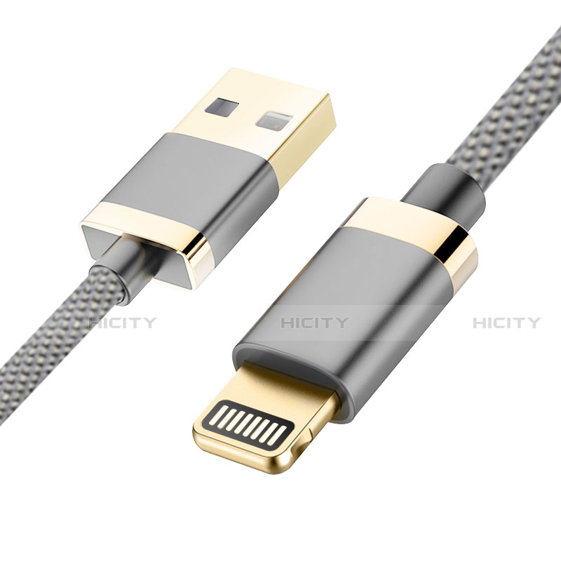 Chargeur Cable Data Synchro Cable D24 pour Apple iPad 10.2 (2020) Gris Plus