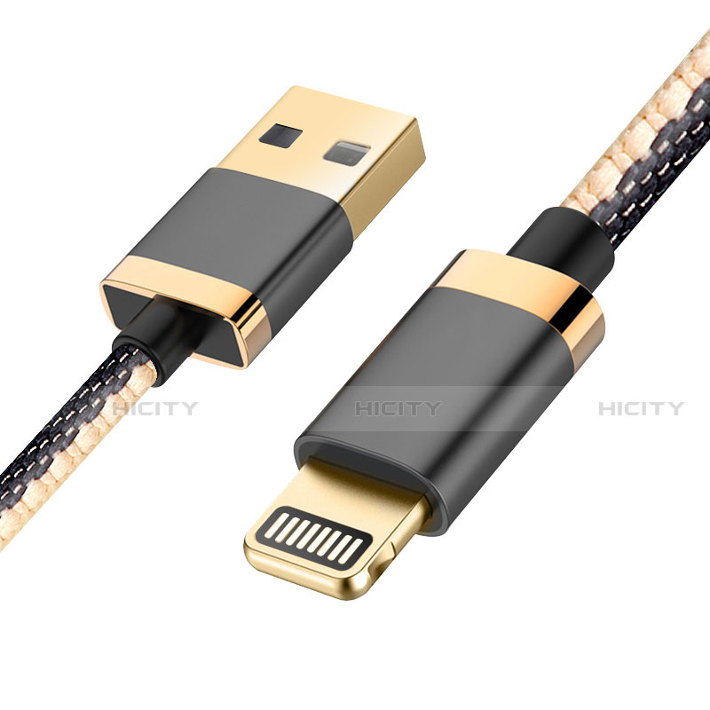 Chargeur Cable Data Synchro Cable D24 pour Apple iPad 10.2 (2020) Noir Plus