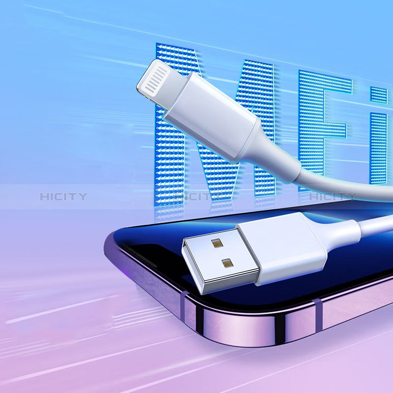 Chargeur Cable Data Synchro Cable H01 pour Apple iPhone 12 Mini Blanc Plus