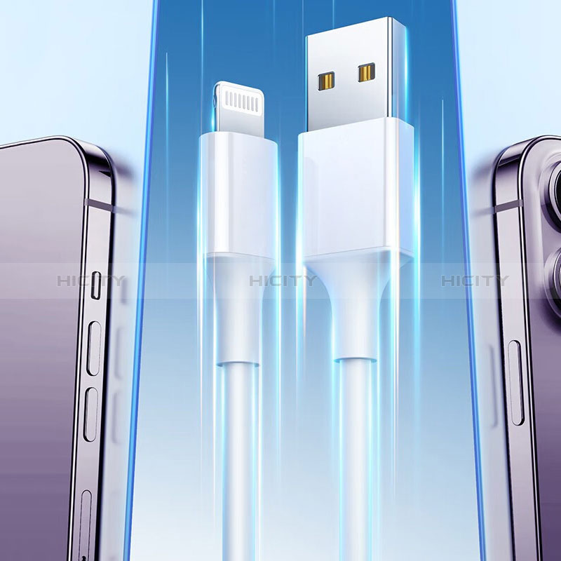Chargeur Cable Data Synchro Cable H01 pour Apple iPhone 12 Pro Blanc Plus