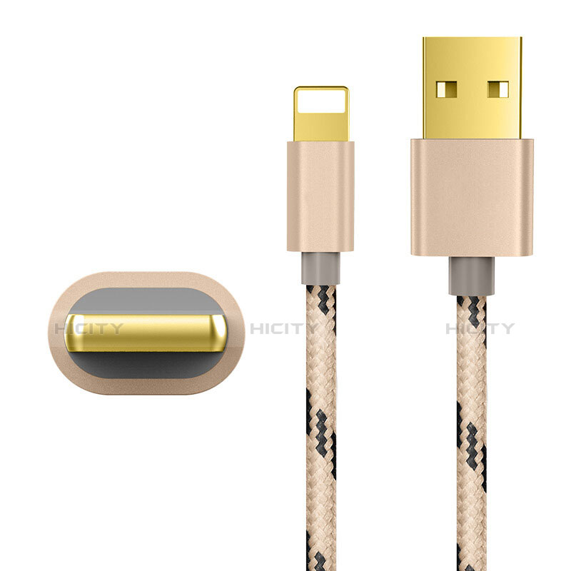 Chargeur Cable Data Synchro Cable L01 pour Apple iPad Pro 12.9 (2017) Or Plus
