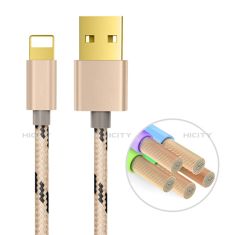Chargeur Cable Data Synchro Cable L01 pour Apple iPad Pro 12.9 (2020) Or Plus