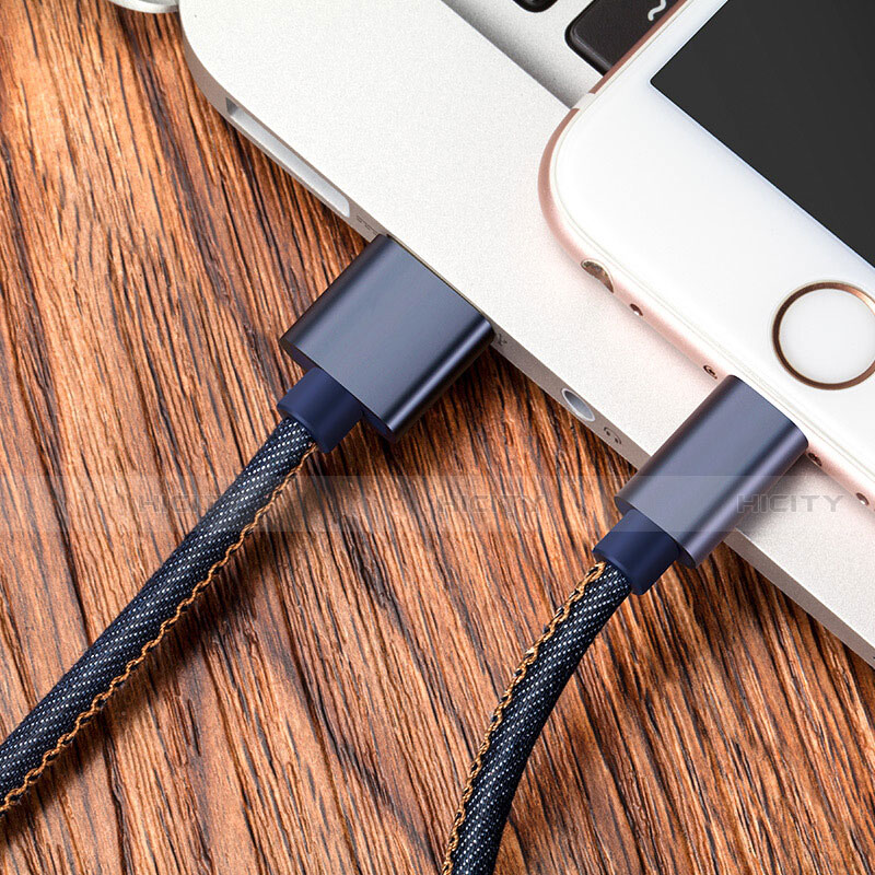 Chargeur Cable Data Synchro Cable L04 pour Apple iPhone 12 Max Bleu Plus