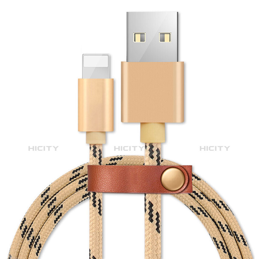 Chargeur Cable Data Synchro Cable L05 pour Apple iPad Pro 12.9 (2020) Or Plus