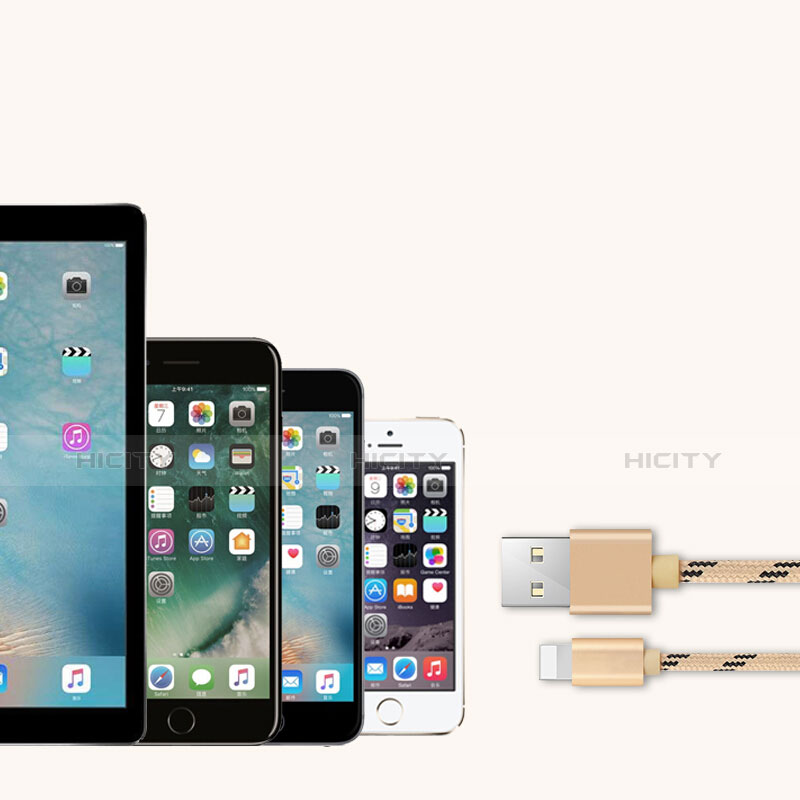 Chargeur Cable Data Synchro Cable L05 pour Apple iPad Pro 12.9 (2020) Or Plus