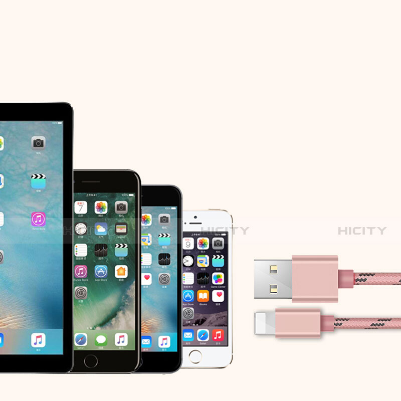 Chargeur Cable Data Synchro Cable L05 pour Apple iPhone 13 Rose Plus