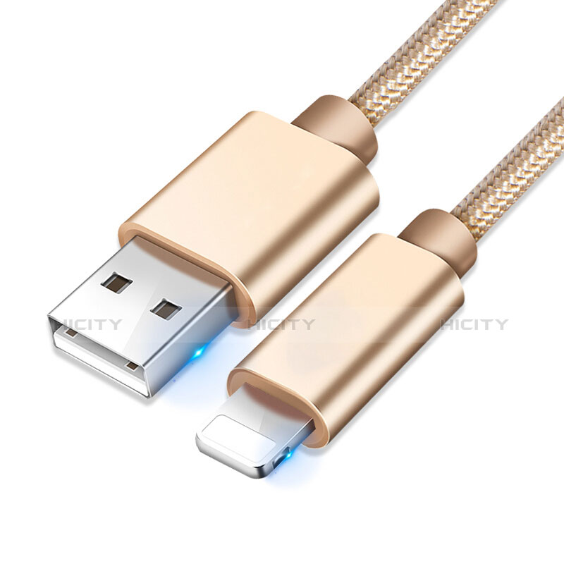 Chargeur Cable Data Synchro Cable L08 pour Apple iPad New Air (2019) 10.5 Or Plus