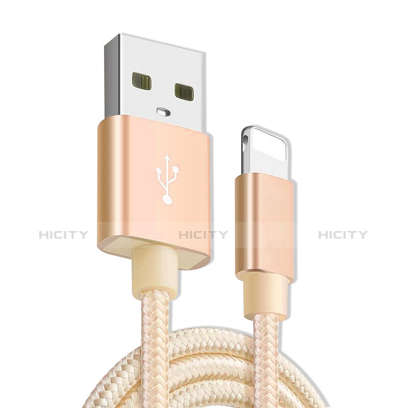 Chargeur Cable Data Synchro Cable L08 pour Apple iPad Pro 12.9 (2020) Or Plus
