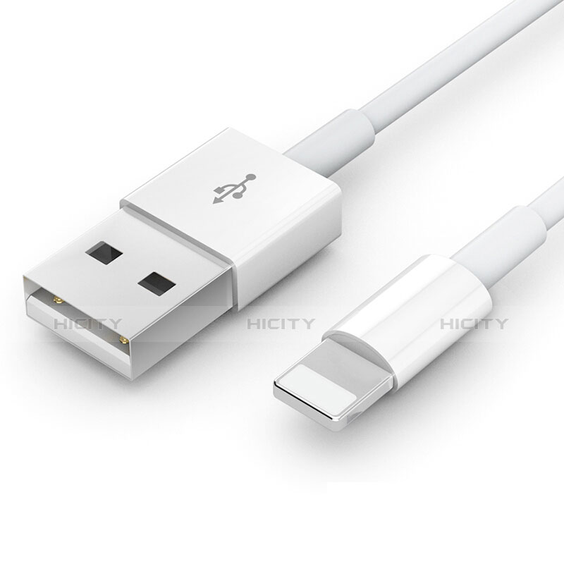 Chargeur Cable Data Synchro Cable L09 pour Apple iPhone 11 Pro Blanc Plus