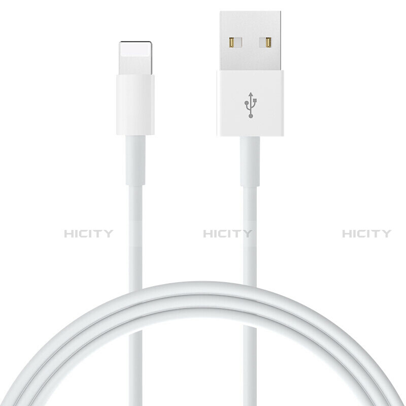 Chargeur Cable Data Synchro Cable L09 pour Apple iPhone 12 Pro Blanc Plus