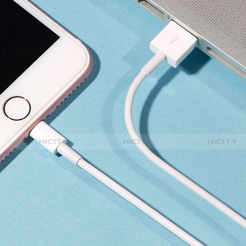Chargeur Cable Data Synchro Cable L09 pour Apple iPhone 14 Blanc Plus